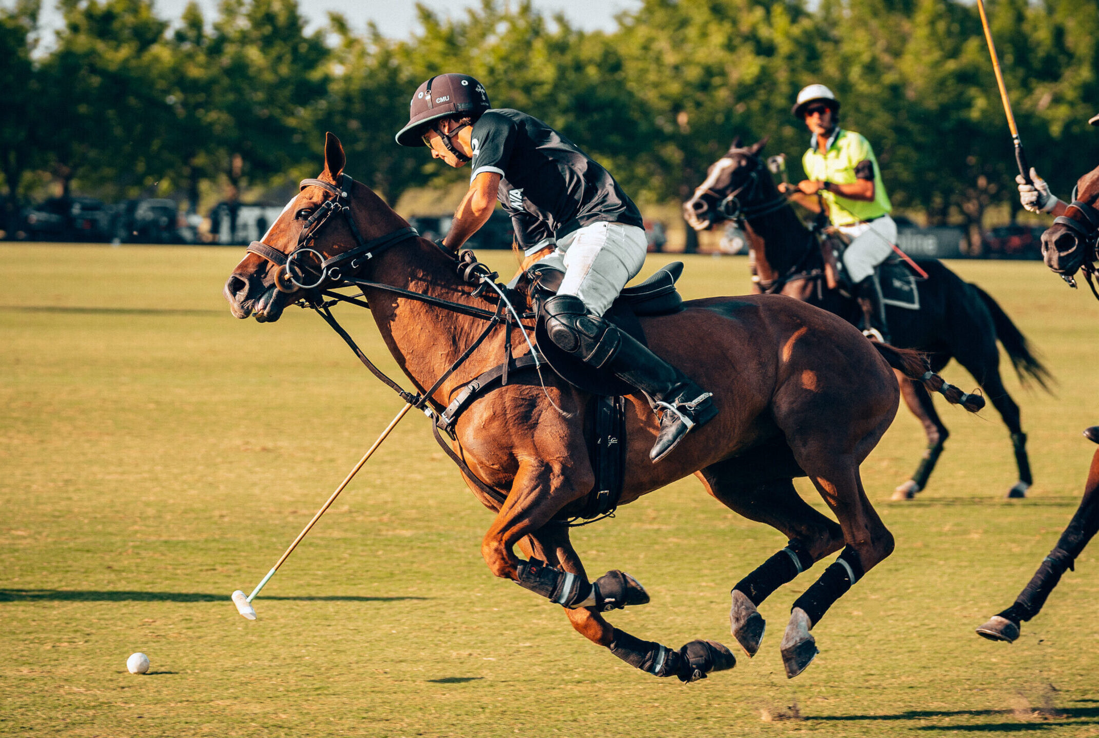 Thai Polo & BMW